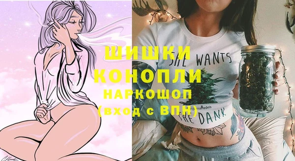гидра Магас