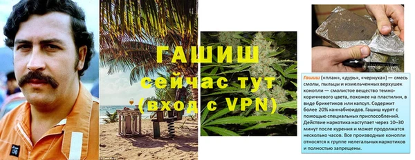 гидра Магас