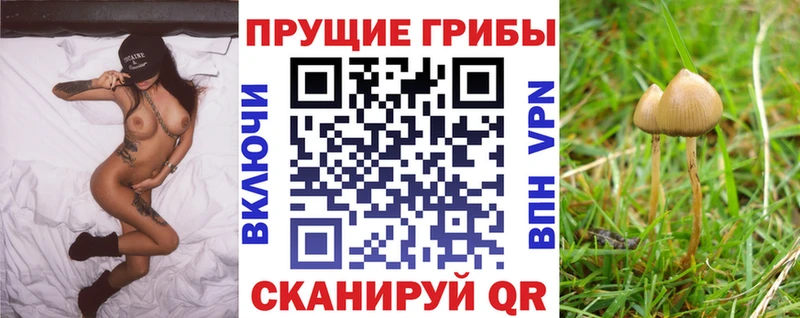 Псилоцибиновые грибы мухоморы  Купить  Ермолино 